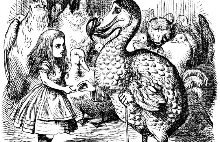 De Alice à Gonzaga de Sá: entenda o que os livros da 2ª fase da Unicamp têm em comum e como se preparar para interpretá-los
