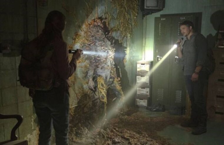 The Last of Us: é possível que uma pandemia de fungos crie zumbis na vida real?
