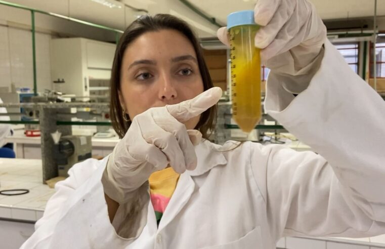 Pesquisa da Unicamp encontra resíduos de agrotóxicos em papinhas industrializadas para bebês