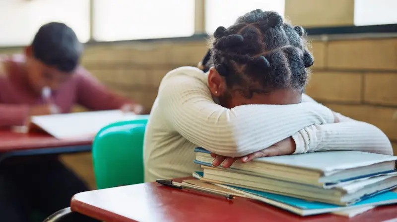As crianças superdotadas negligenciadas ou expulsas das escolas: ‘Meu filho era visto como problema’