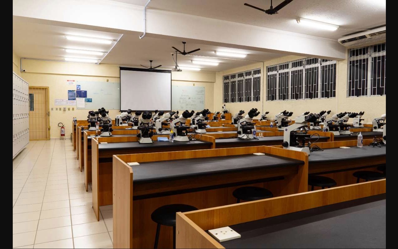 Inscrição para Pé-de-Meia Licenciaturas termina no domingo; incentivo mensal é de R$ 1.050