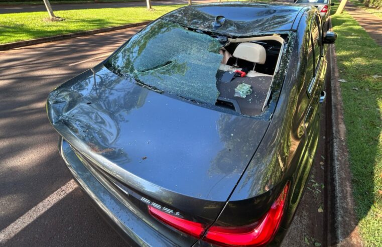 BMW destruída por touro: veja o que diz o seguro em casos como o que aconteceu no interior de SP