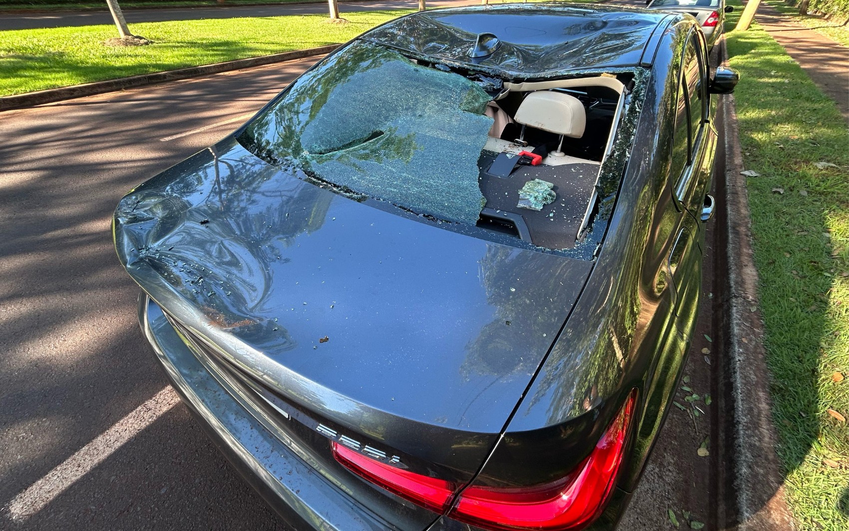 BMW destruída por touro: veja o que diz o seguro em casos como o que aconteceu no interior de SP