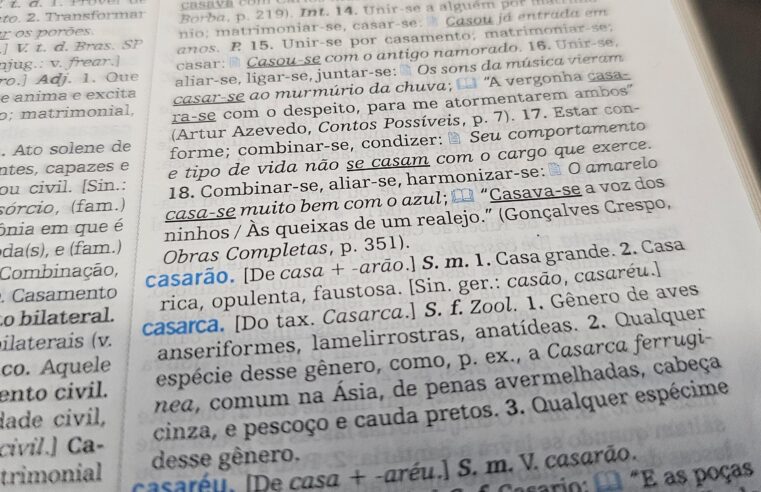 Aumentativos ‘incomuns’ de cão, gato e nariz viralizam; você acertaria? Faça o quiz e descubra