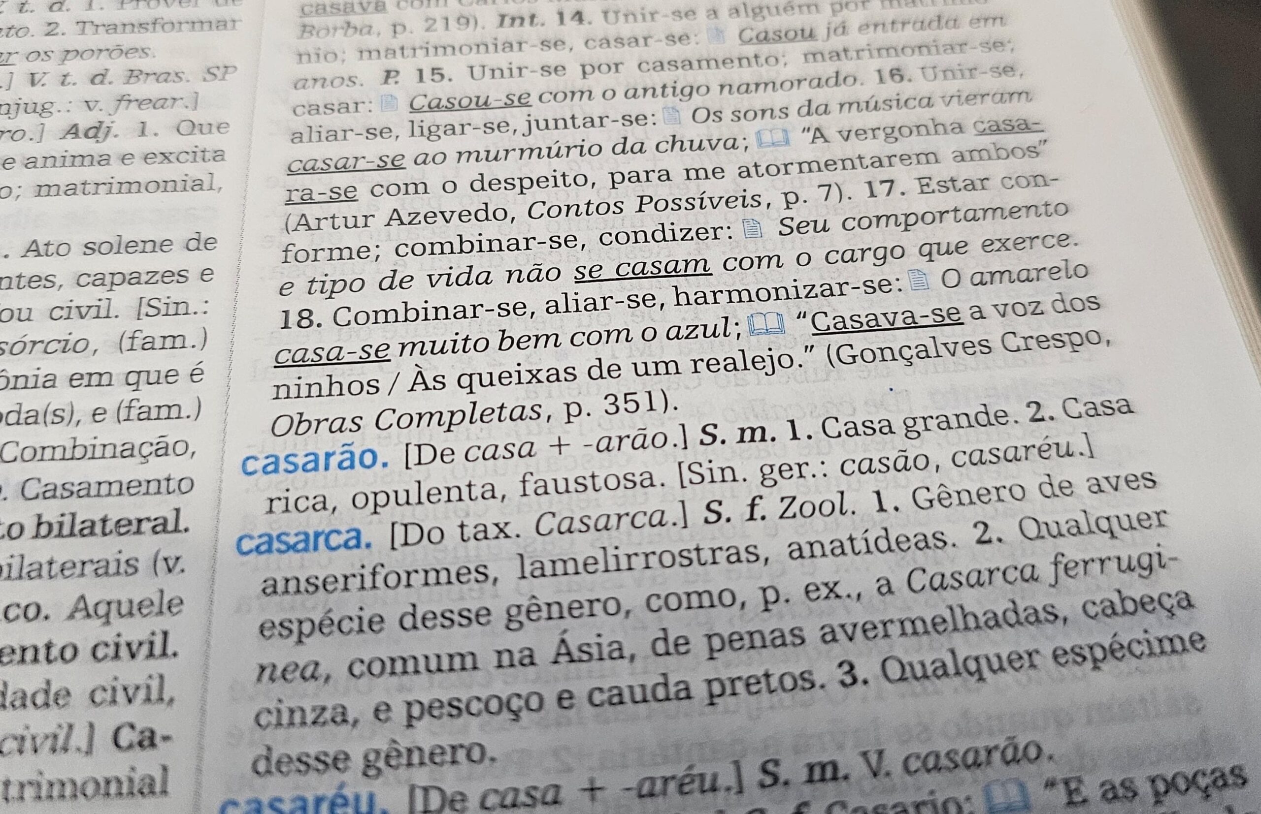 Aumentativos ‘incomuns’ de cão, gato e nariz viralizam; você acertaria? Faça o quiz e descubra